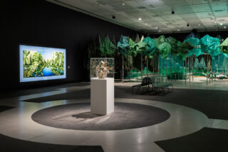 Tulevaisuuden puutarha -näyttely johdattelee luontosuhteen äärelle Lahden Malvassa